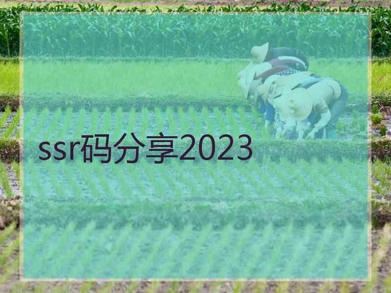 ssr码分享2023