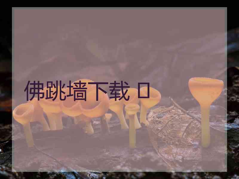 佛跳墙下载 	