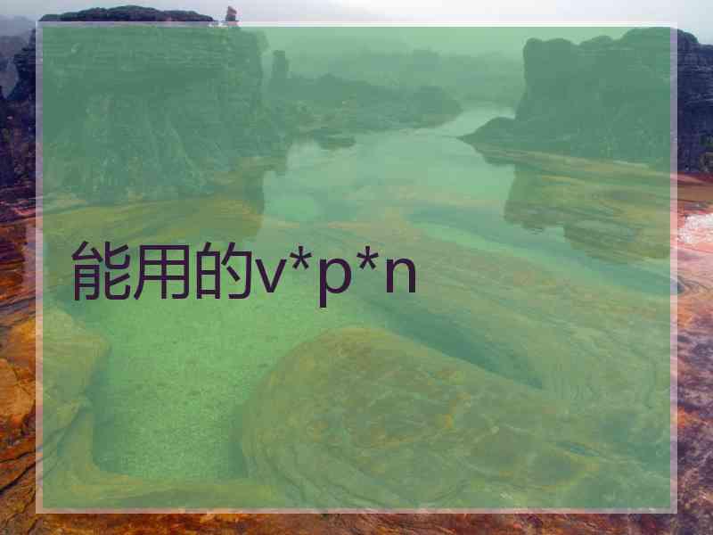 能用的v*p*n
