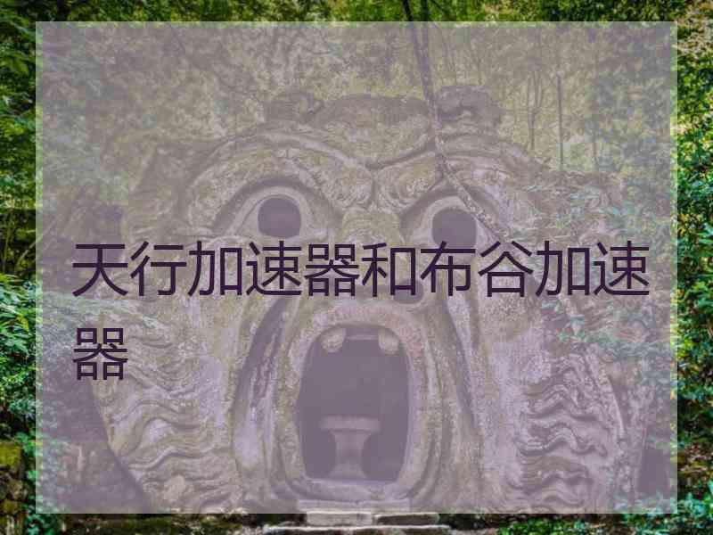 天行加速器和布谷加速器