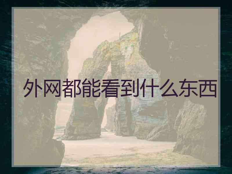 外网都能看到什么东西