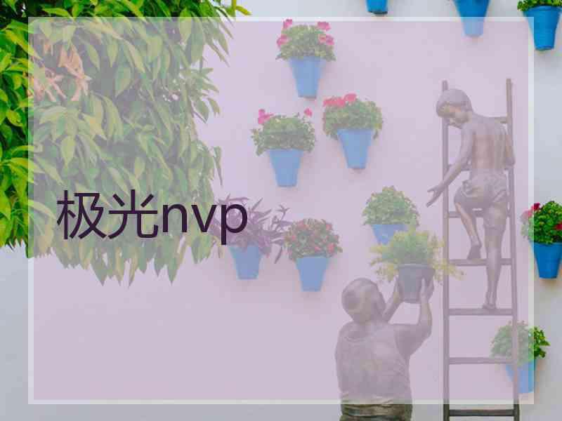 极光nvp