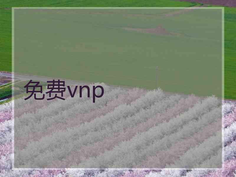 免费vnp