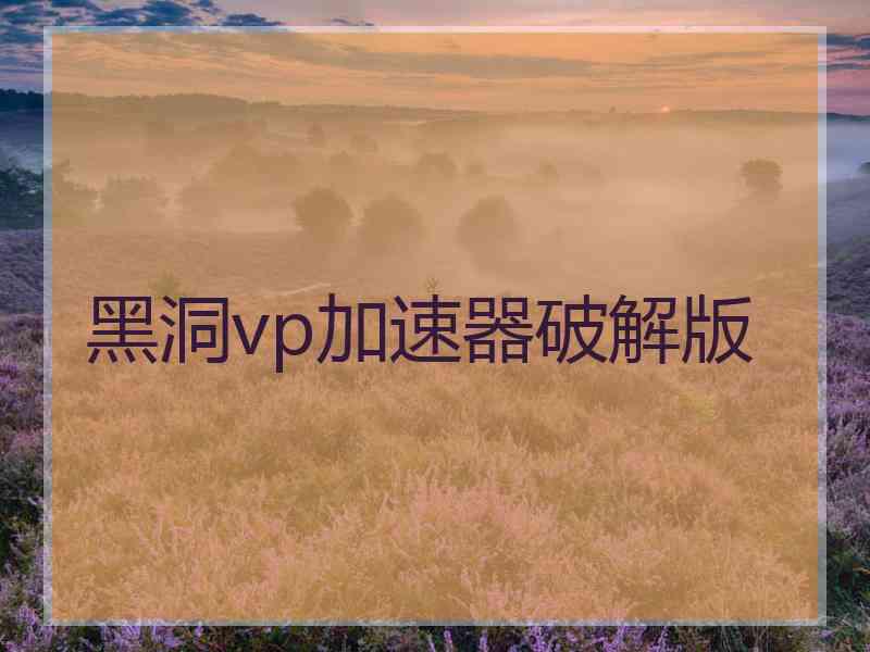 黑洞vp加速器破解版