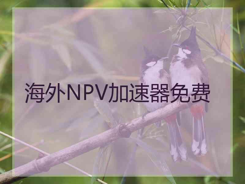 海外NPV加速器免费