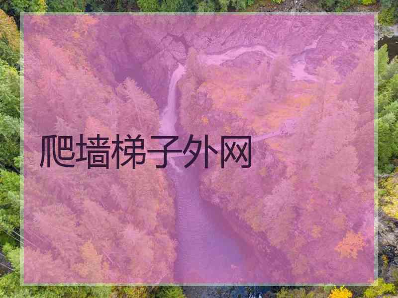 爬墙梯子外网