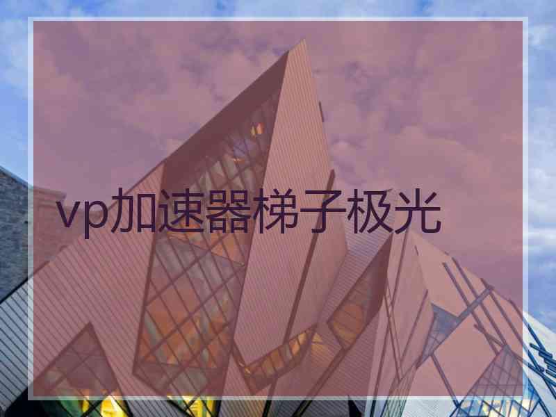 vp加速器梯子极光