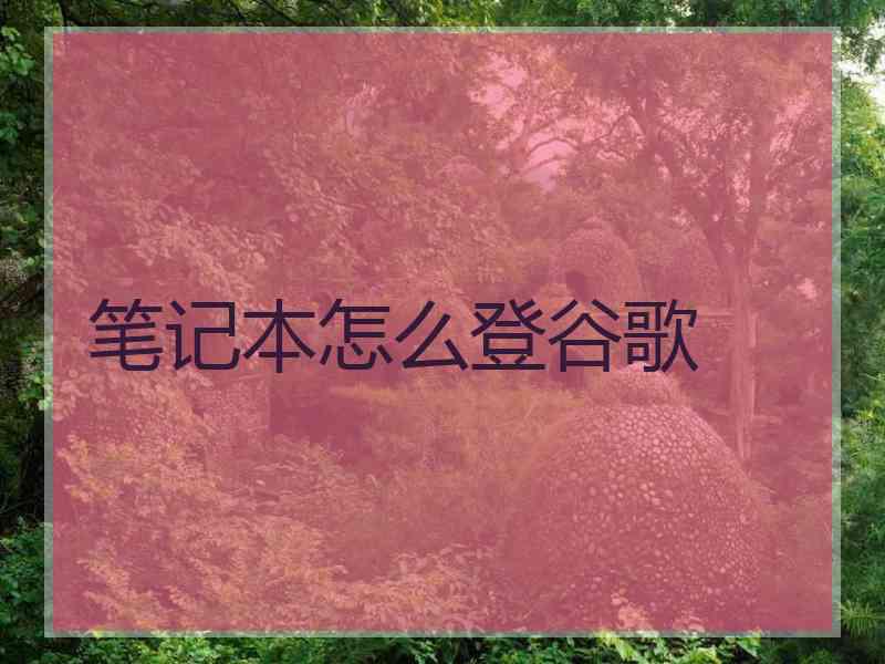 笔记本怎么登谷歌