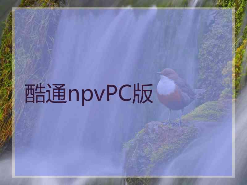 酷通npvPC版