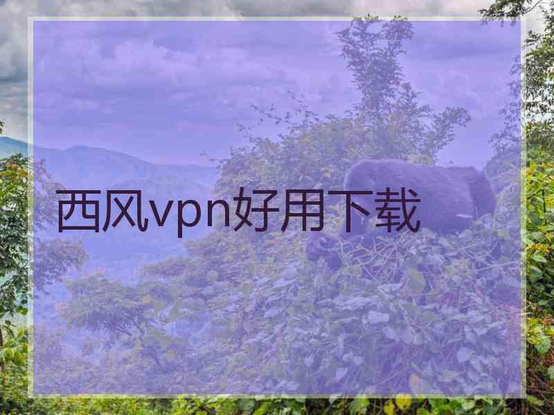 西风vpn好用下载