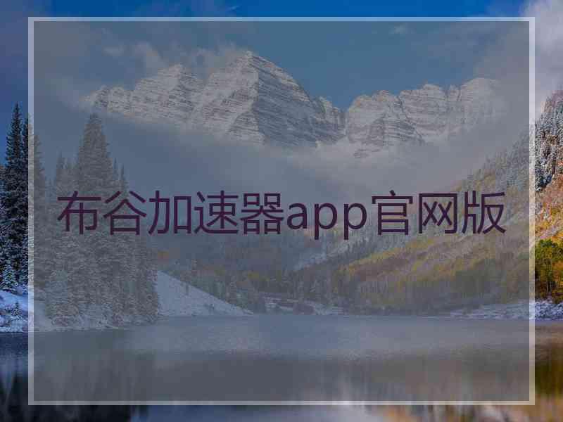布谷加速器app官网版