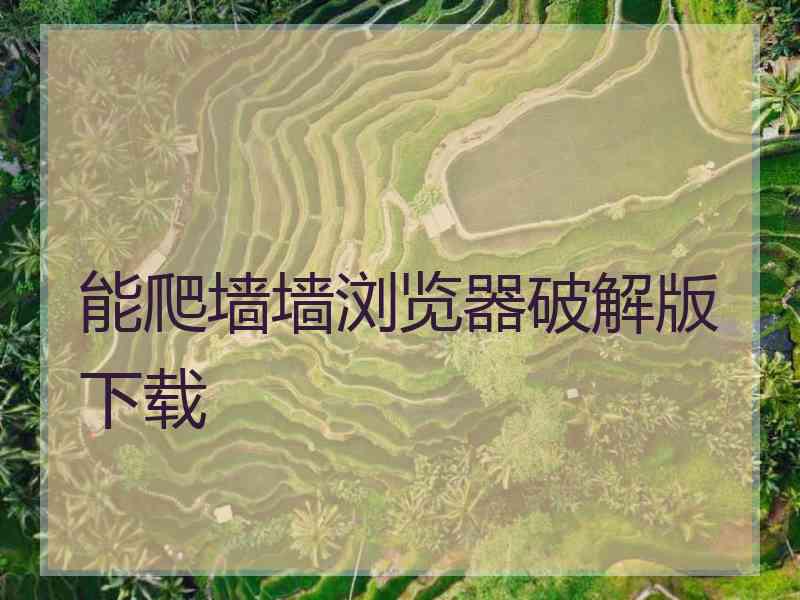 能爬墙墙浏览器破解版下载