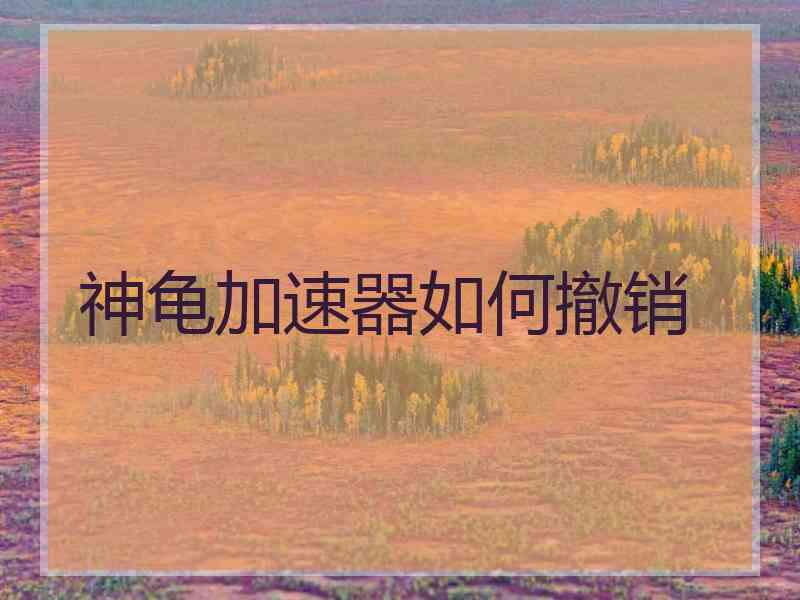 神龟加速器如何撤销