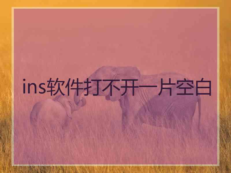 ins软件打不开一片空白