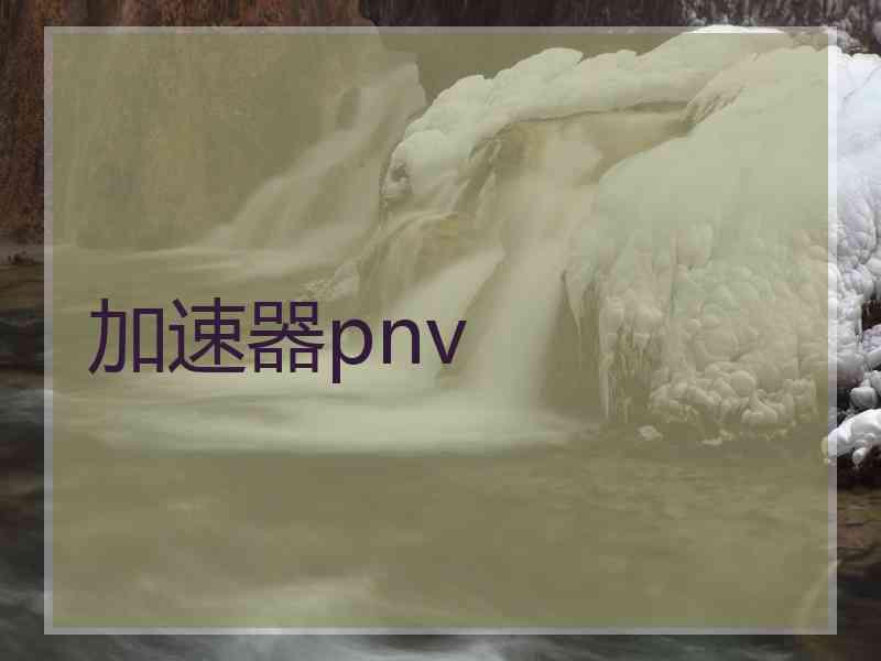 加速器pnv