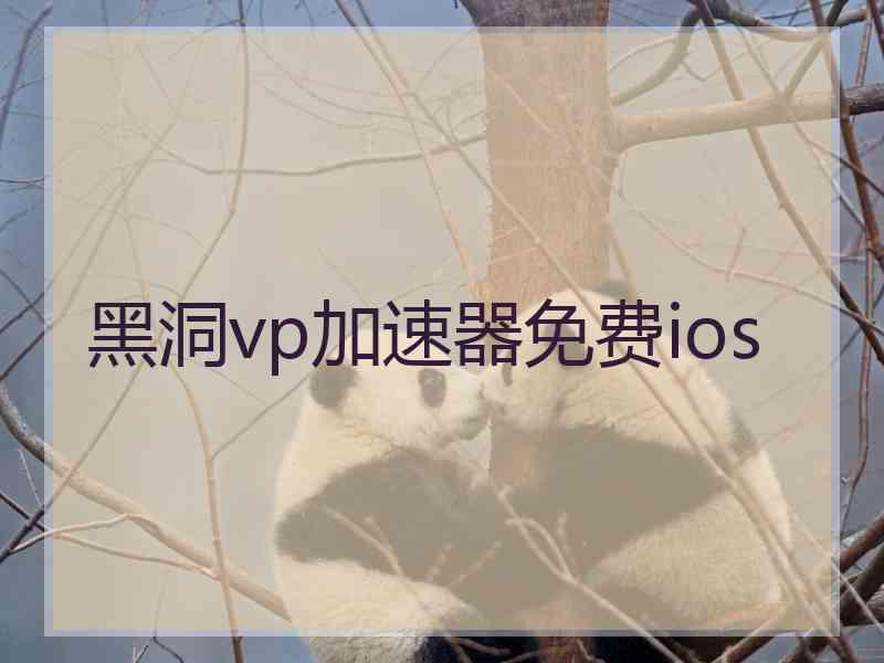 黑洞vp加速器免费ios