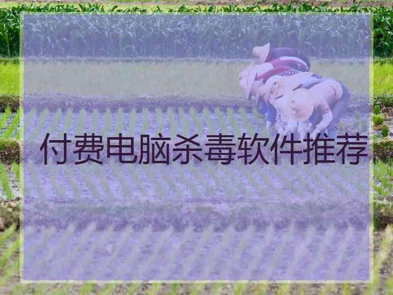 付费电脑杀毒软件推荐