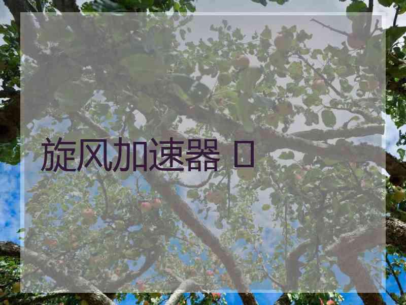 旋风加速器 	
