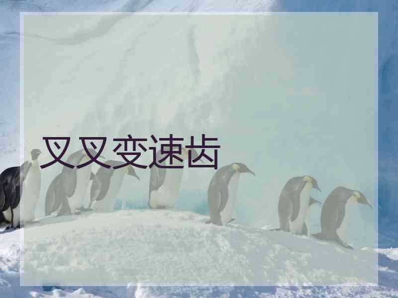 叉叉变速齿