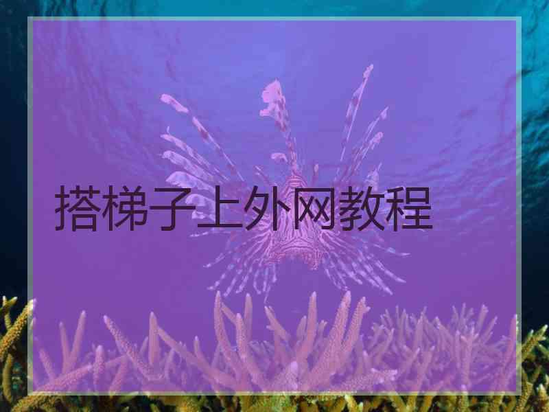 搭梯子上外网教程