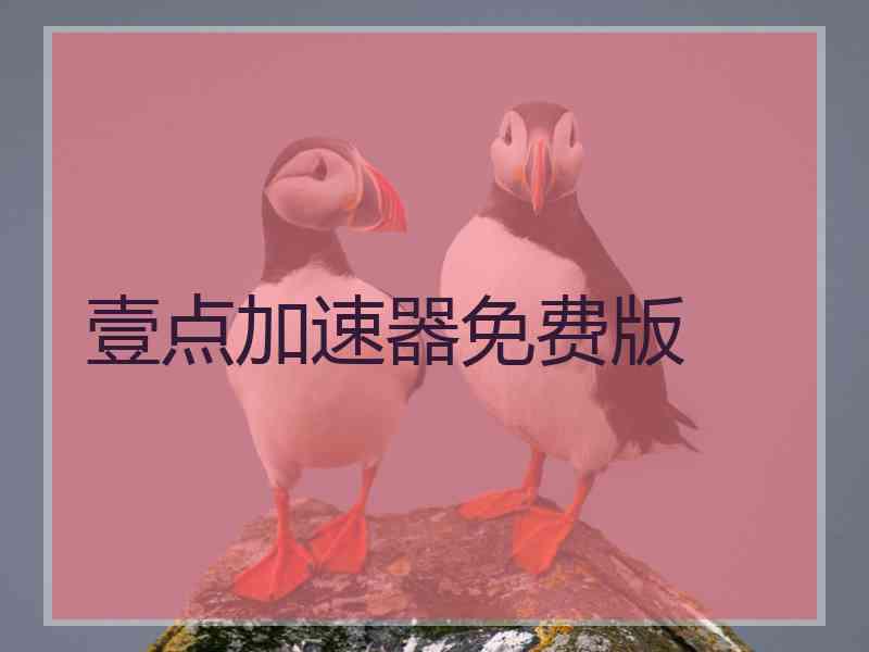 壹点加速器免费版