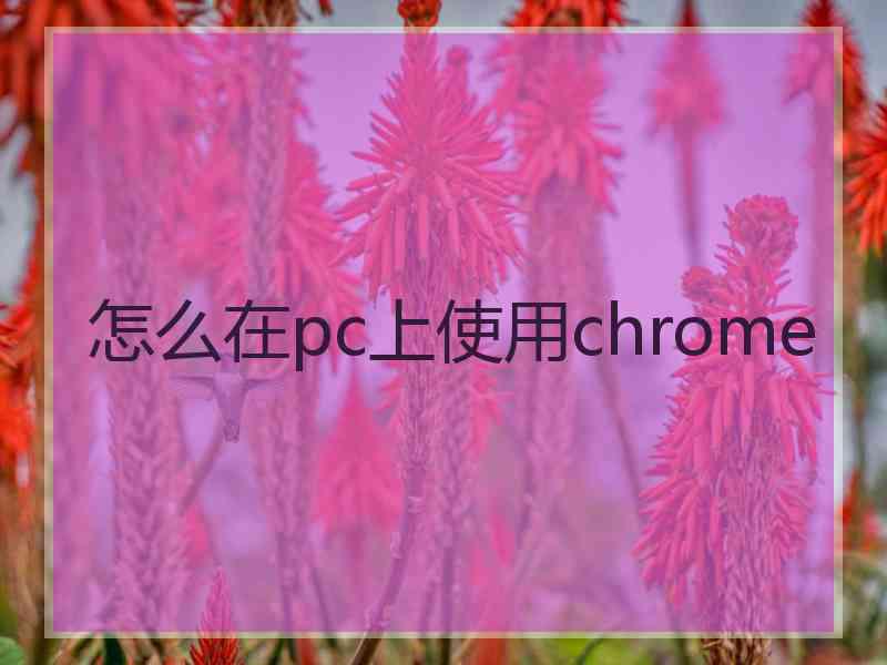 怎么在pc上使用chrome