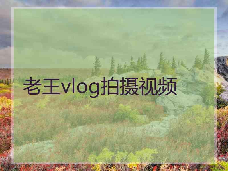 老王vlog拍摄视频