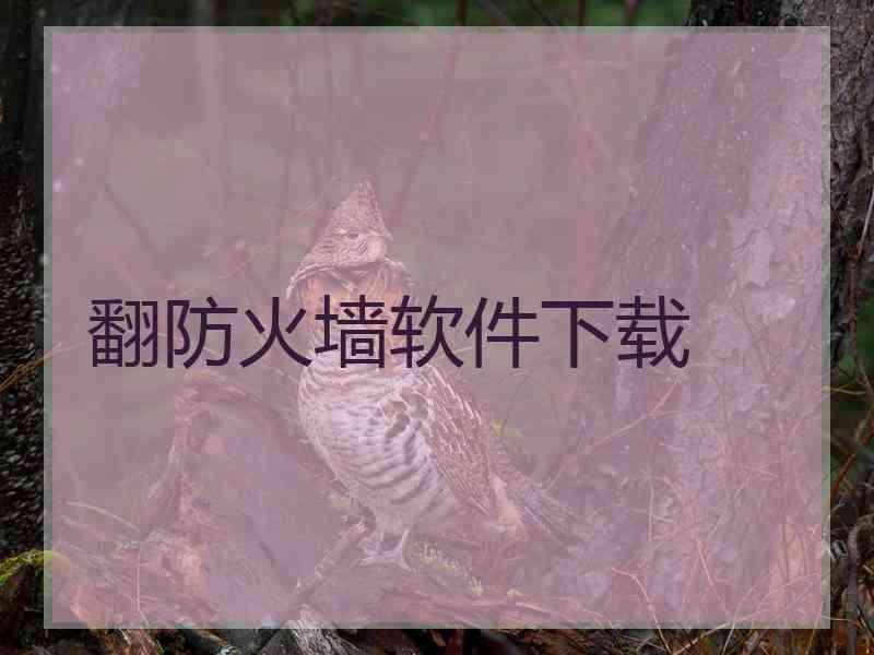 翻防火墙软件下载