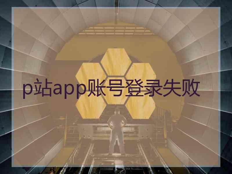 p站app账号登录失败