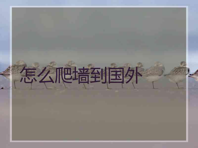 怎么爬墙到国外