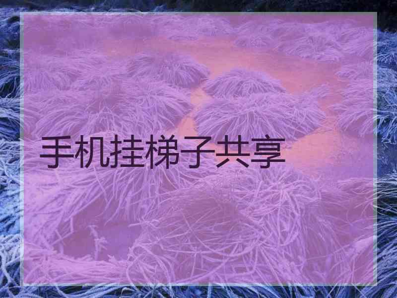 手机挂梯子共享