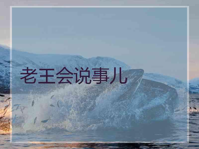 老王会说事儿