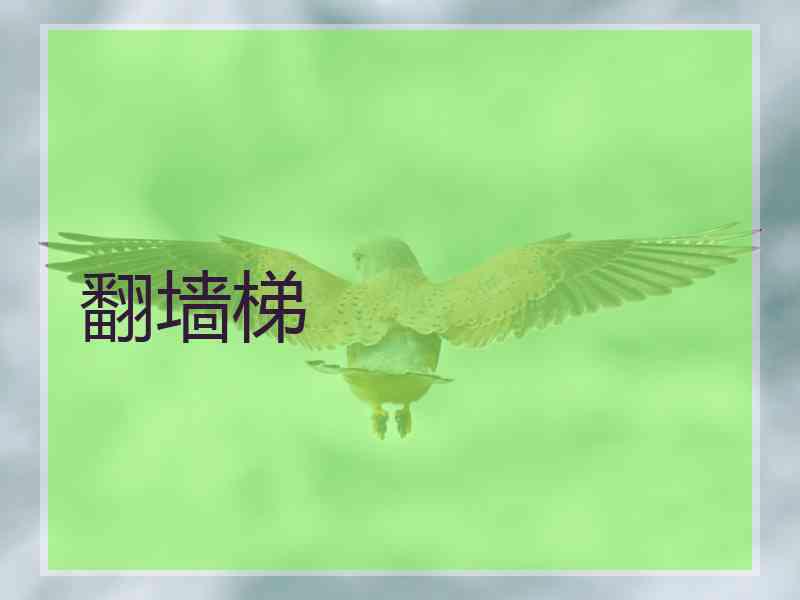 翻墙梯