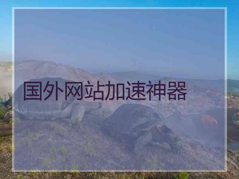 国外网站加速神器