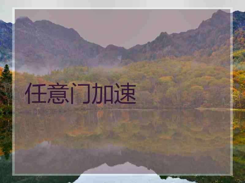 任意门加速