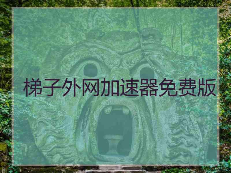 梯子外网加速器免费版