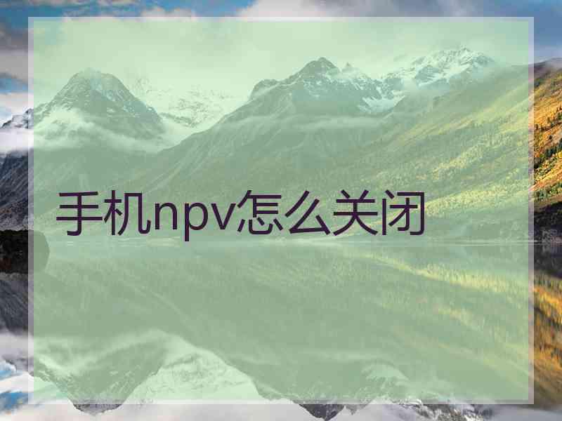 手机npv怎么关闭
