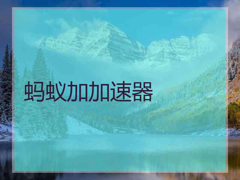 蚂蚁加加速器
