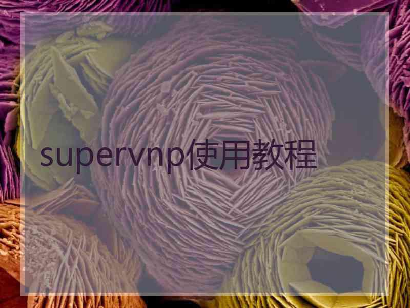 supervnp使用教程
