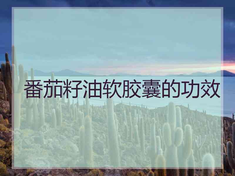 番茄籽油软胶囊的功效