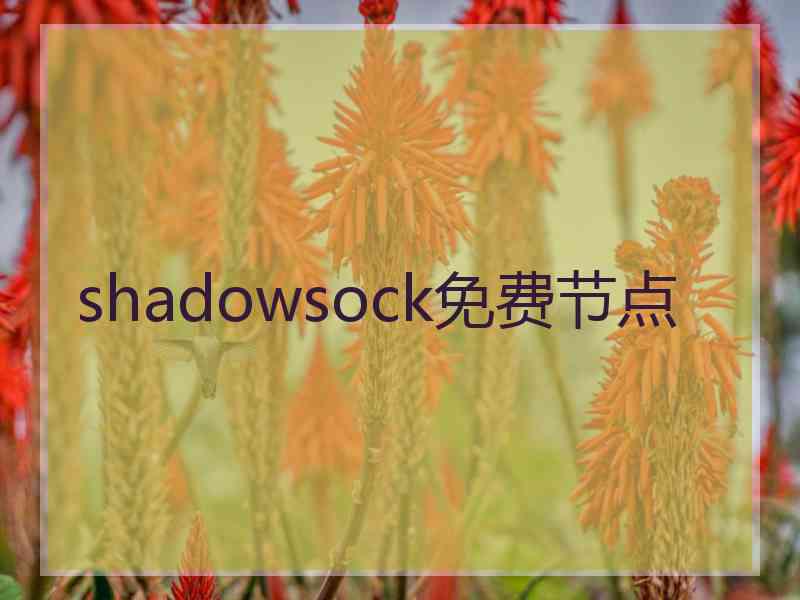 shadowsock免费节点