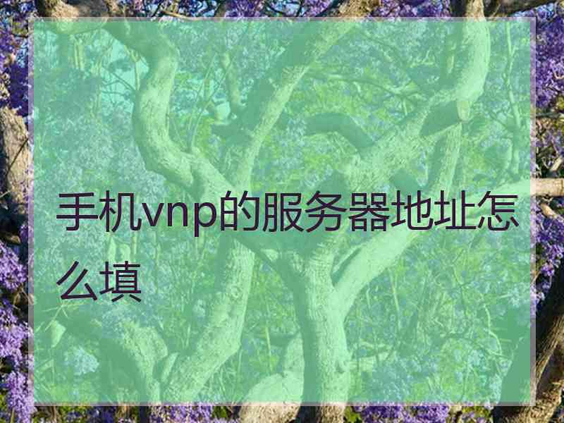 手机vnp的服务器地址怎么填
