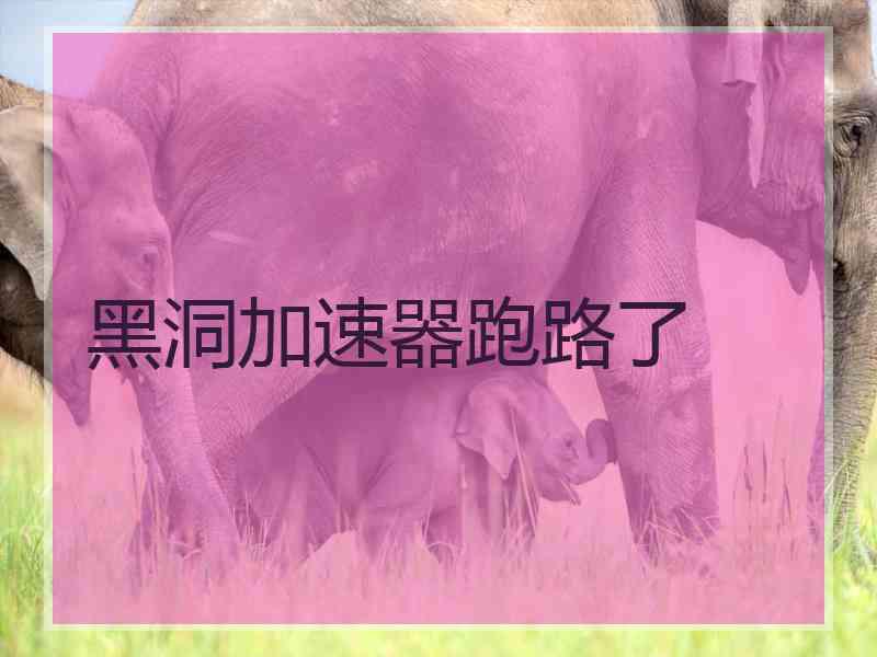 黑洞加速器跑路了