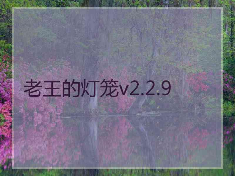 老王的灯笼v2.2.9