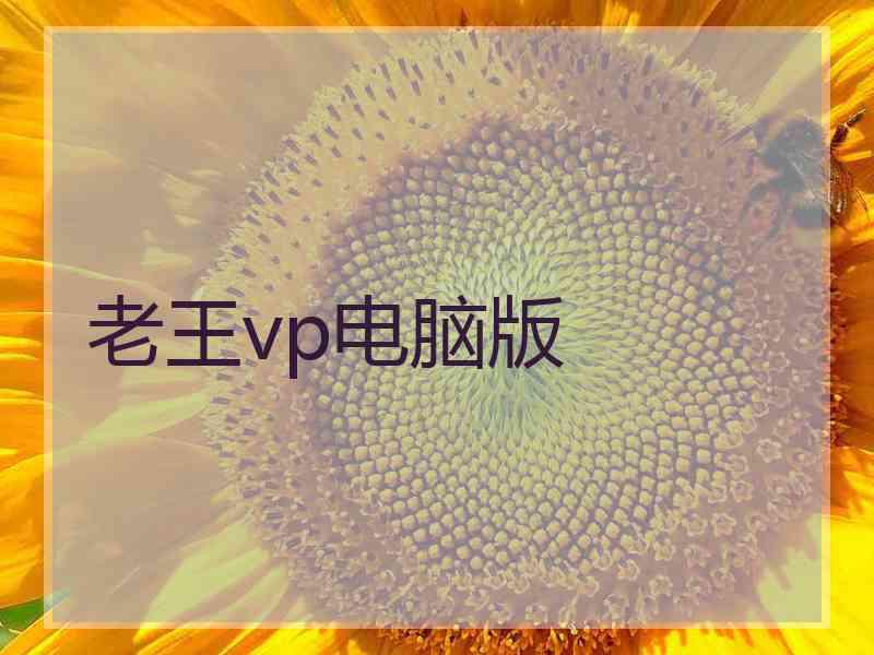 老王vp电脑版