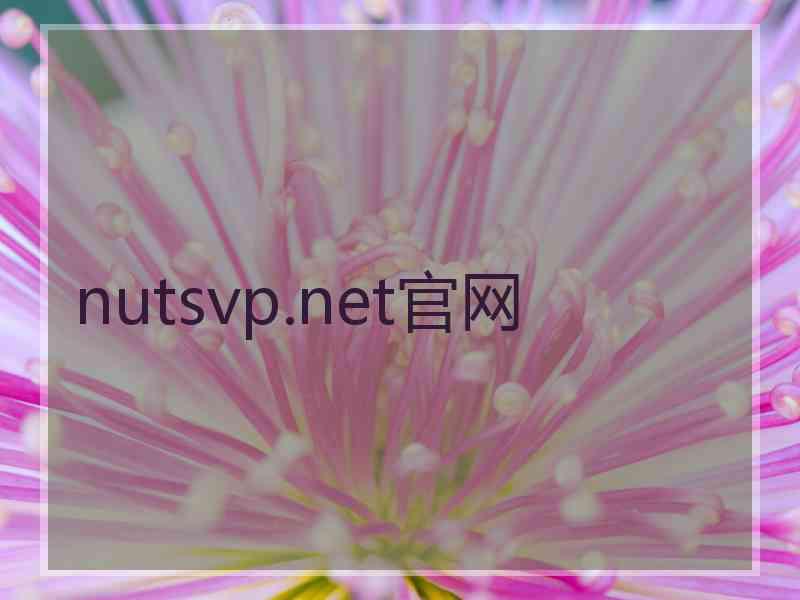 nutsvp.net官网