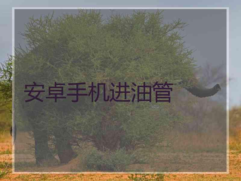 安卓手机进油管