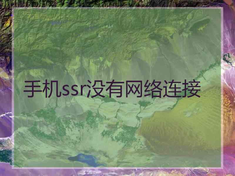 手机ssr没有网络连接