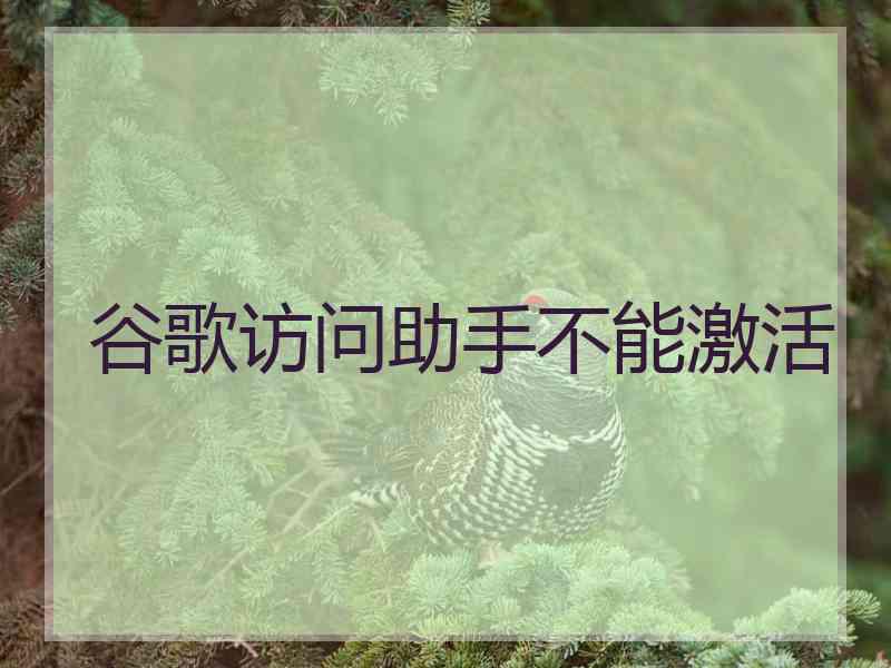 谷歌访问助手不能激活