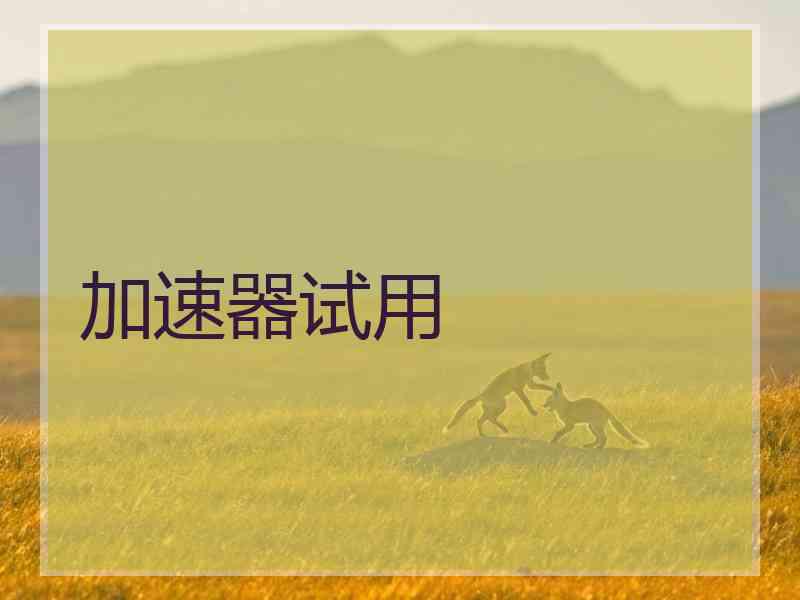 加速器试用